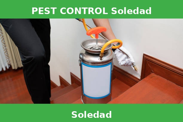 PEST CONTROL Soledad